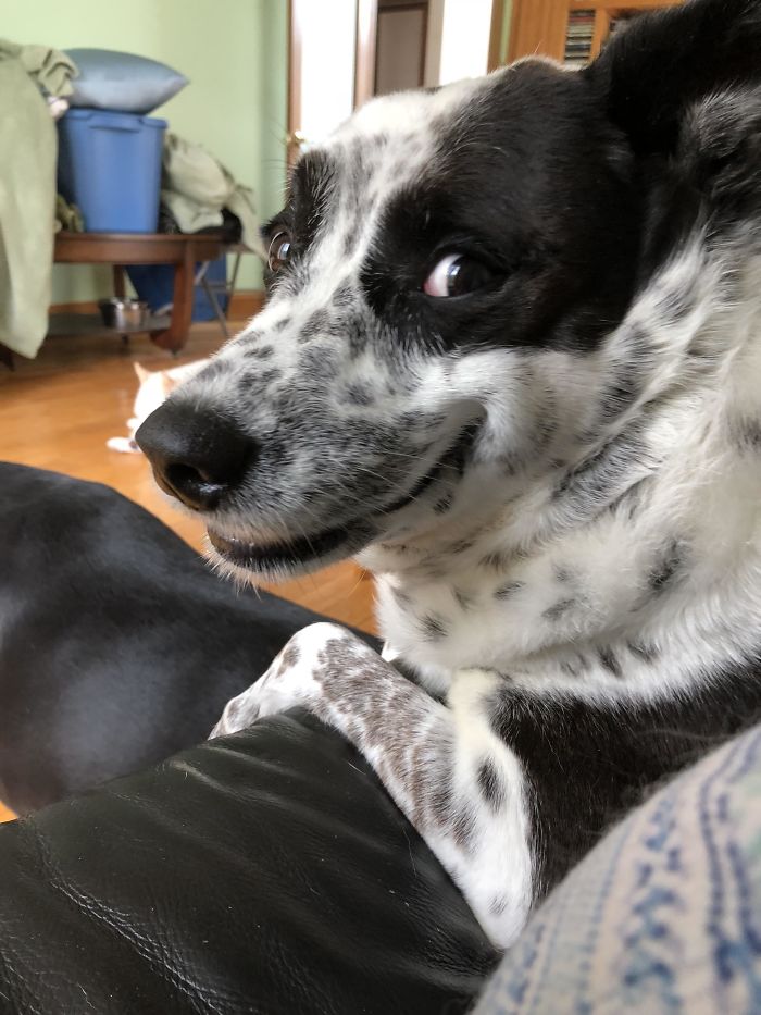 “Who’s A Good Girl?” *Slow Turn Around And Huge Grin*