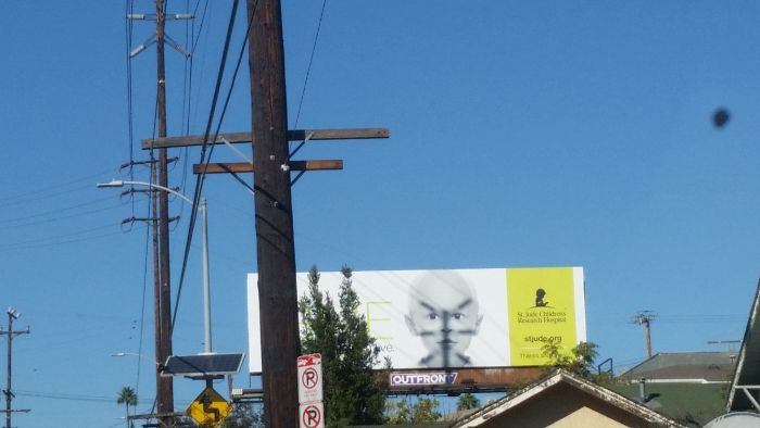 The Shadow From The Power Lines Makes This Baby Look Like He's Angry And Wearing Warpaint