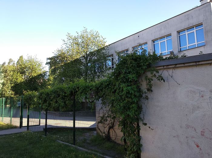 This Shadow Looks Like An Extension Of The Building