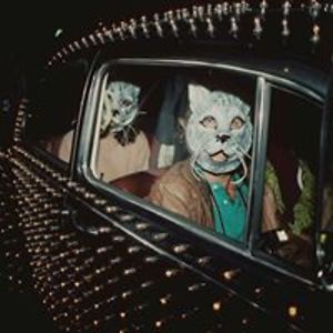 armir_krivosic avatar