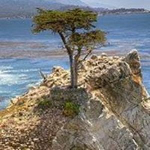 bluesapphire48 avatar