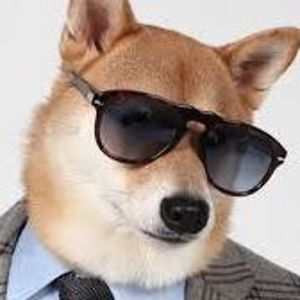 luccigucciano avatar