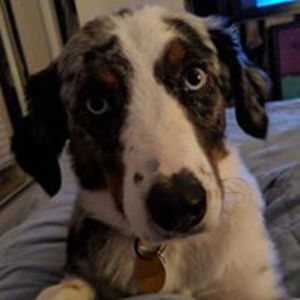 hammersmith_deanna avatar