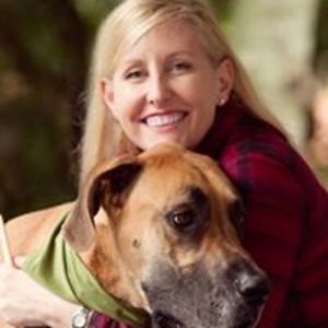 franckstudio1 avatar