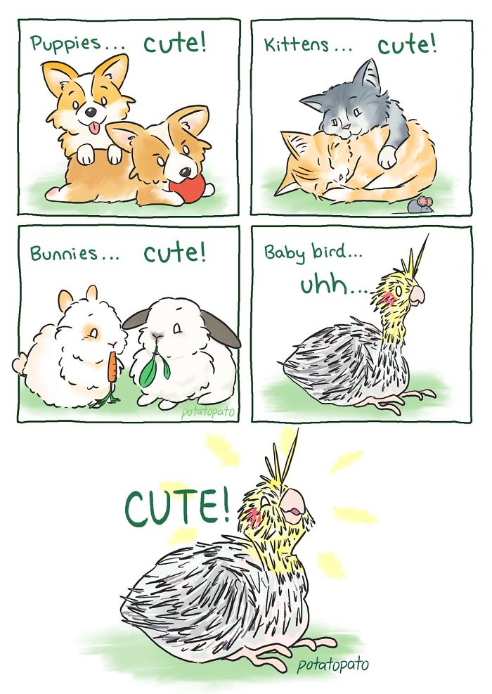 Comic panels showing cute puppies, kittens, bunnies, and a baby bird becoming adorable in a positive pet bird comic.