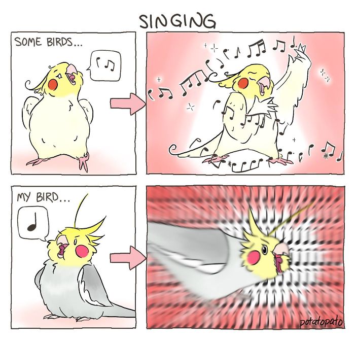 Comic of a pet bird singing positively, with playful, exaggerated expressions and colorful musical notes.