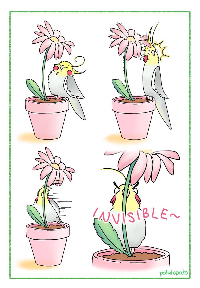 Comic-style drawing of a pet bird interacting with a flower, depicting cute and positive moments about her pet bird.