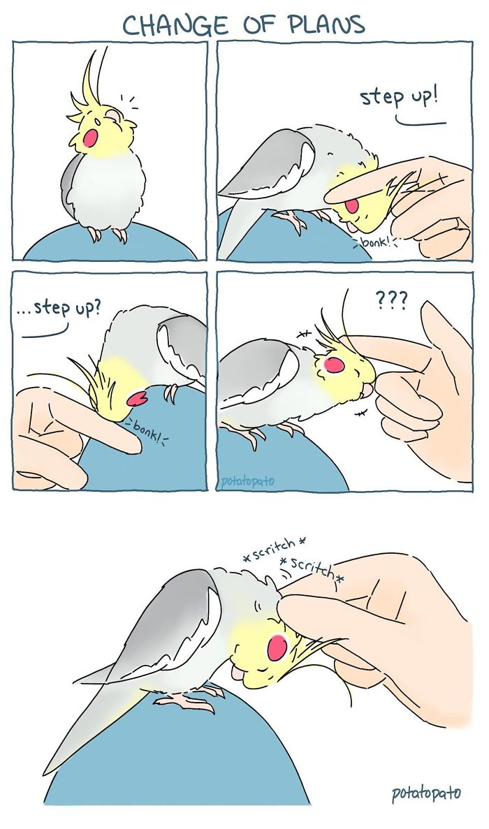Comic panels showing an artist drawing a pet bird interacting playfully and positively with a human hand.