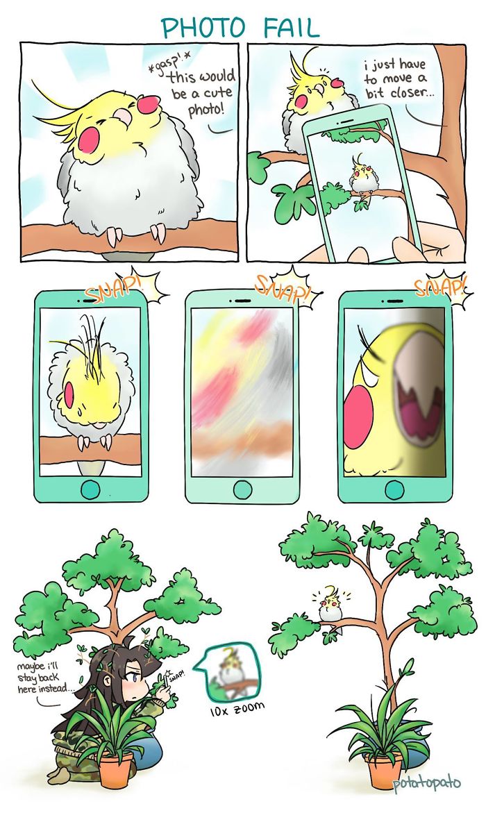 Comic of an artist drawing comics about her pet bird, showing humorous attempts to capture the perfect photo with phone.