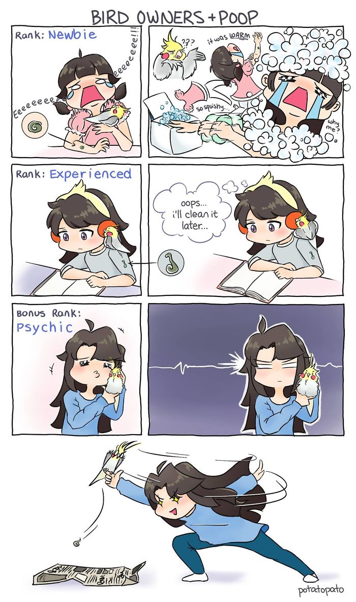 Comic panels showing an artist drawing positive comics about her pet bird through different bird owner experience levels.