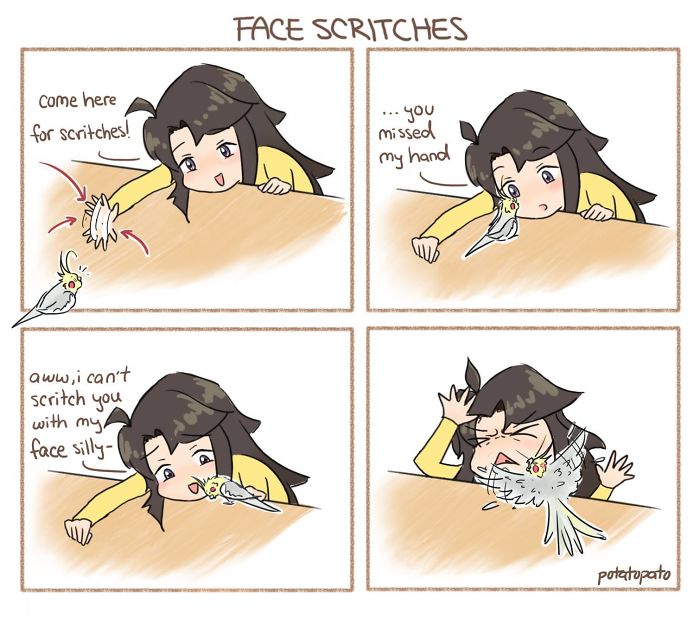 Comic panels showing an artist drawing about her pet bird giving face scritches with playful and positive interaction.