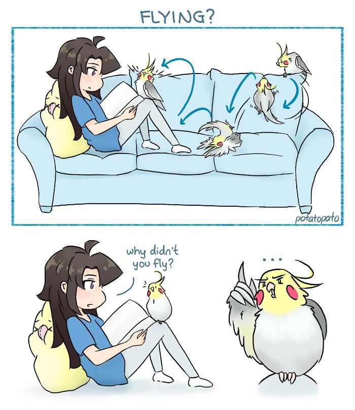 Comic artist draws positive scenes featuring her pet bird learning to fly and interacting on a couch.