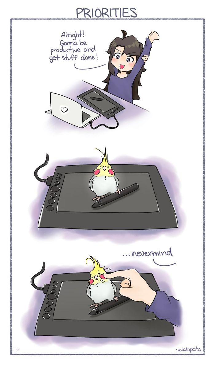 Comic artist with pet bird on drawing tablet, showing positive and playful moments in a creative workspace.