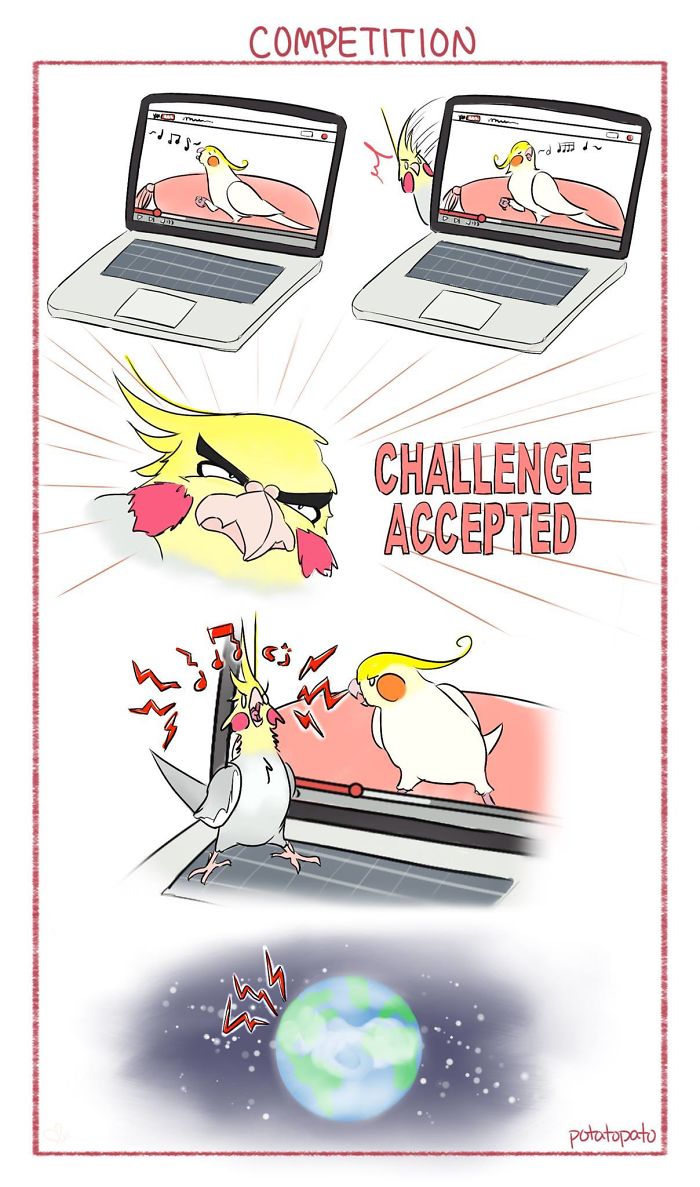 Comic of a pet bird taking on a musical challenge with intense expressions in an artist's positive bird comics.