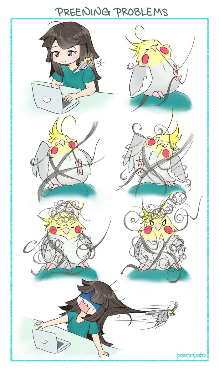 Comic illustration showing an artist and her pet bird in humorous preening troubles, highlighting positive pet bird moments.