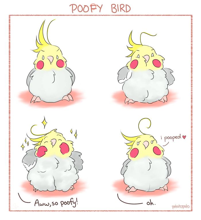 Comic strip of a pet bird featuring positive and cute expressions, highlighting an artist's drawings of her bird.