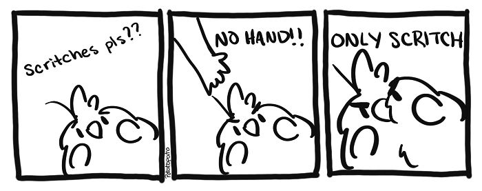 Comic strip showing an artist’s positive pet bird requesting scritches but only allowing scratching, not handling.