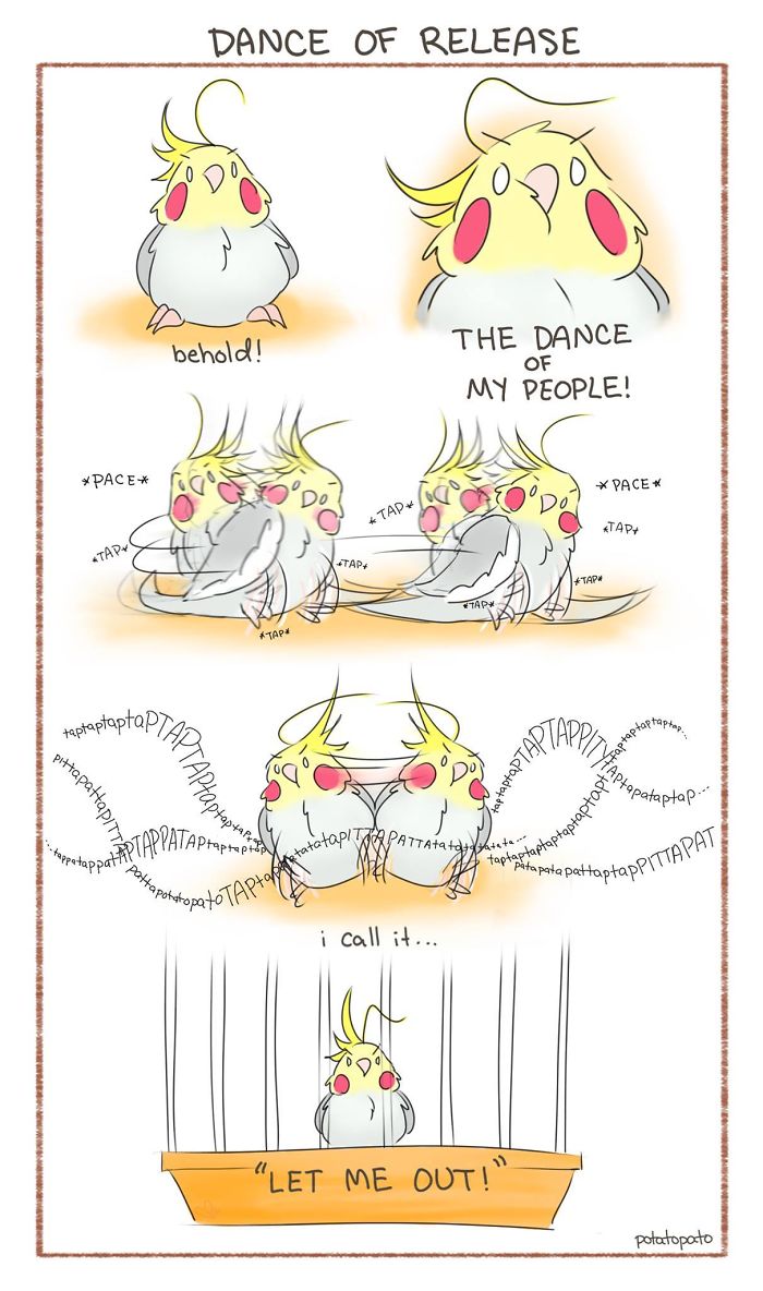Comic panels of a pet bird dancing happily and tapping its cage, illustrating positive moments of a pet bird.