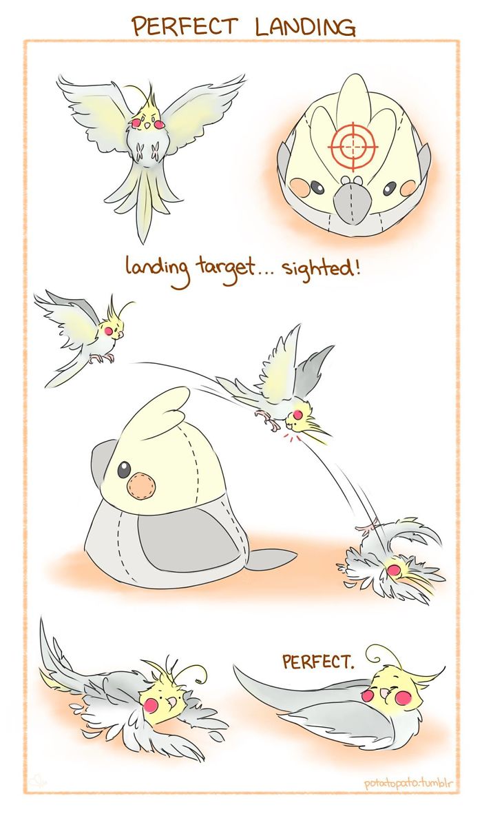 Comic panels of a pet bird aiming and landing on a soft bird-shaped target in a positive, playful style.