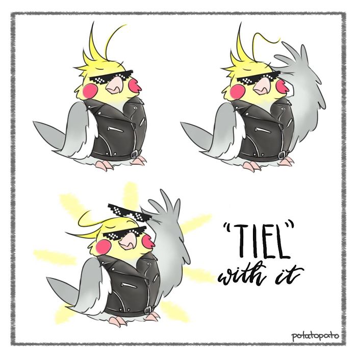 Comic panels of a pet bird wearing sunglasses and a leather jacket, featuring positive and playful bird-themed artwork.