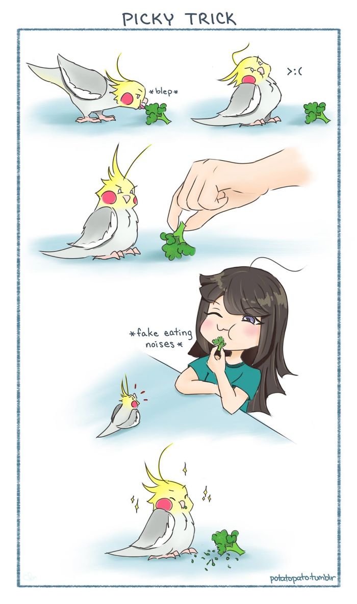 Comic of a pet bird being picky with food, showing playful interaction between the artist and her positive pet bird.