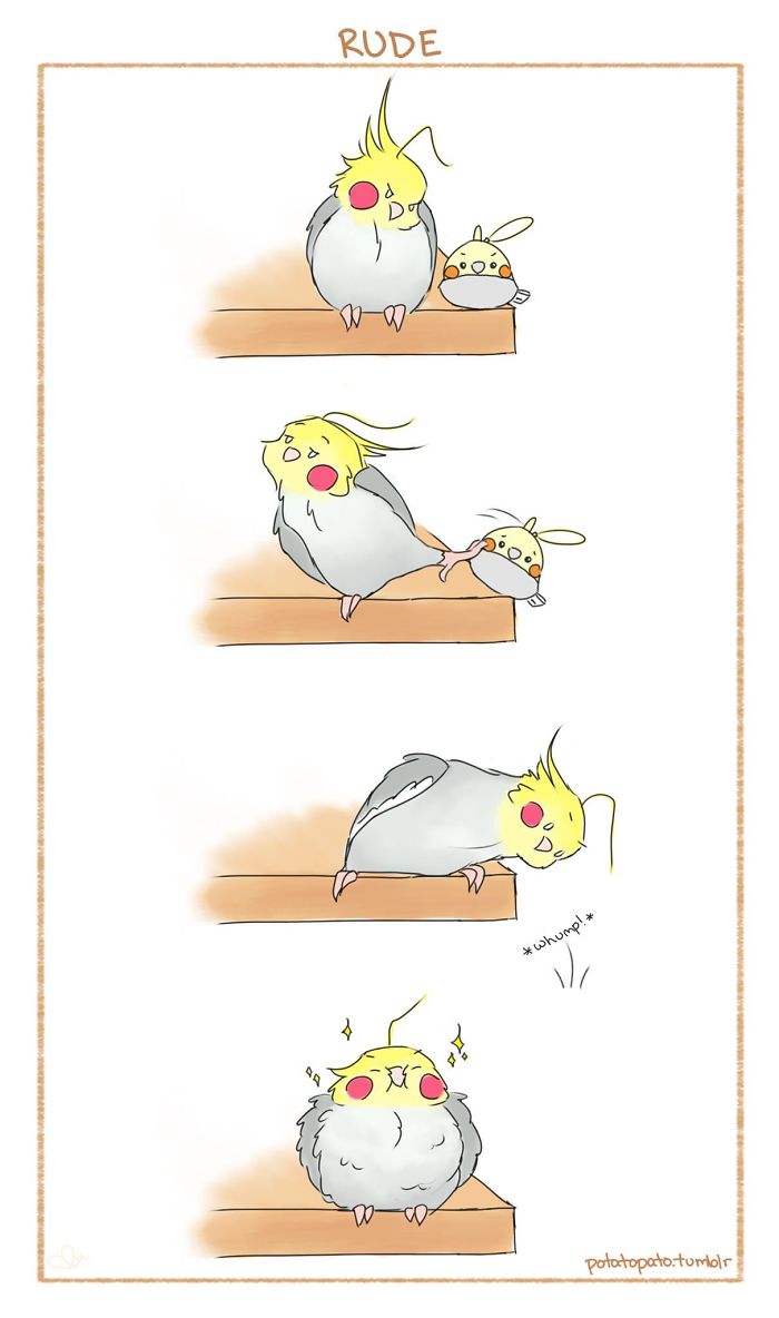 Comic panels of a pet bird in a positive cartoon style showing playful and cute actions on a wooden perch.