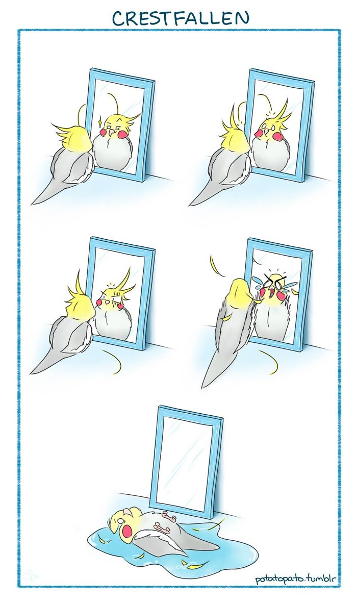 Comic strip of a pet bird looking positive then sad in the mirror, illustrating artist draws comics about her pet bird.