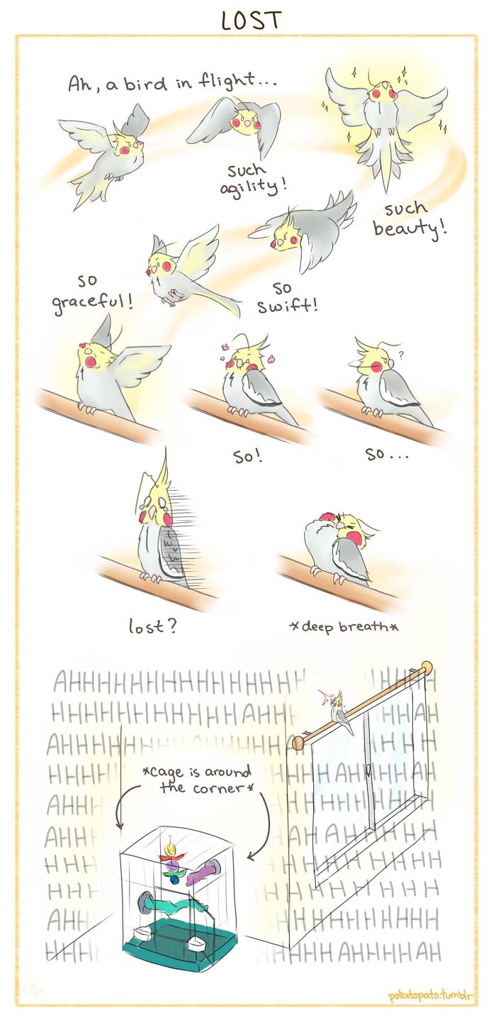 Comic illustration of a positive pet bird showing agility, beauty, and grace while perched near its cage corner.