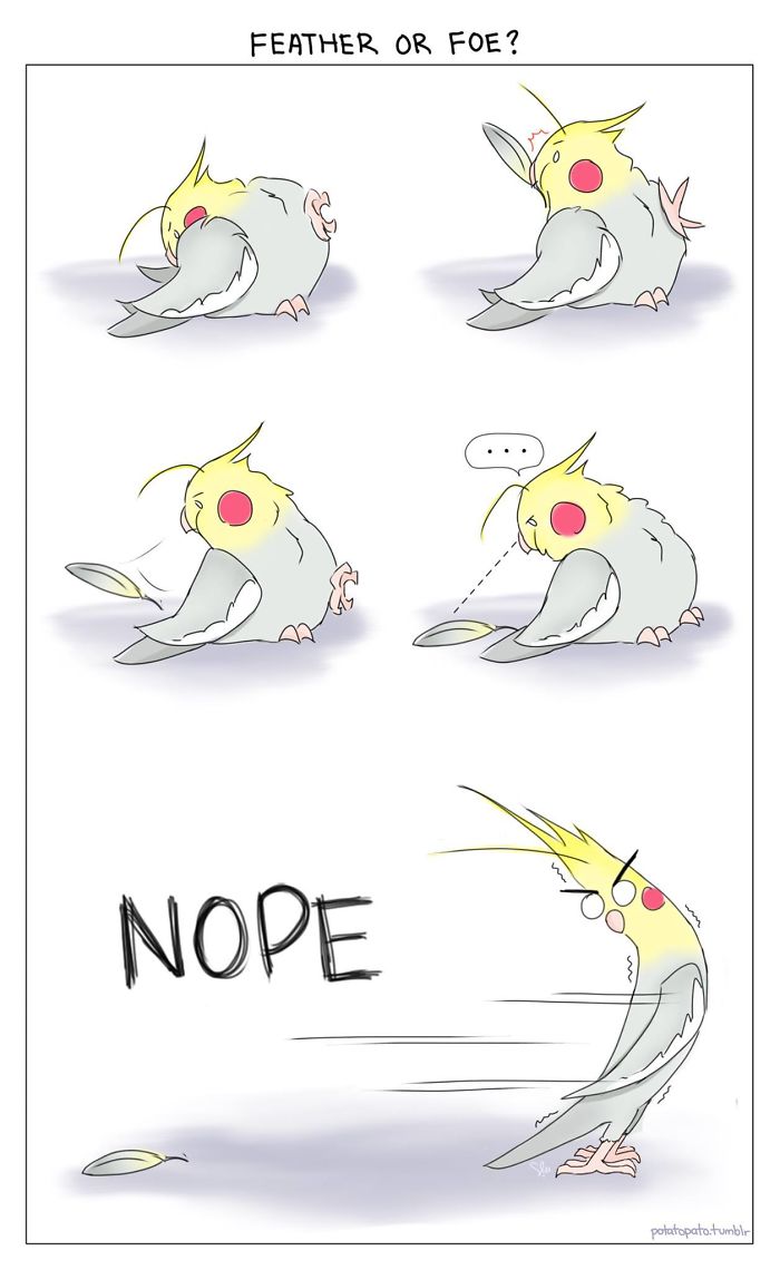 Comic of a pet bird humorously reacting to a fallen feather, drawn by an artist with positive vibes.