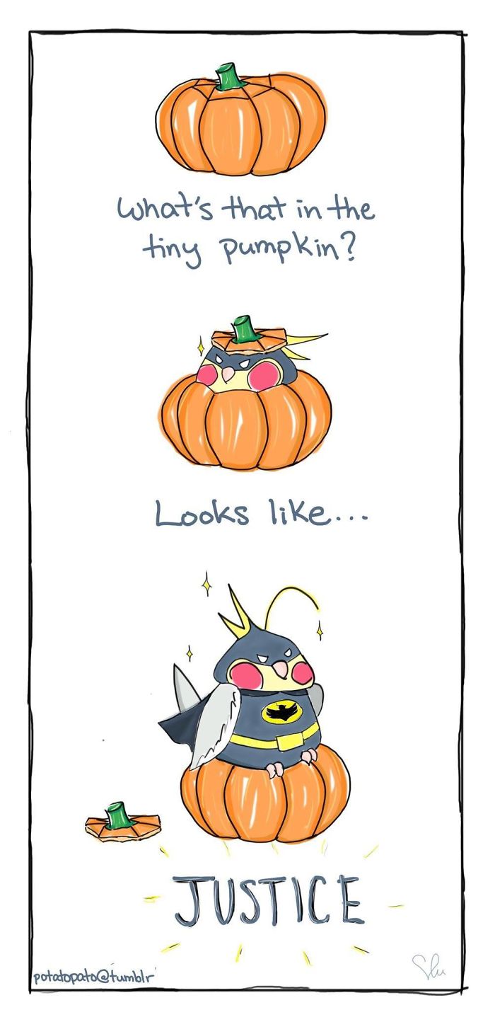 Comic featuring a pet bird dressed as a superhero sitting on a pumpkin, showcasing positive artist drawings about her pet bird.