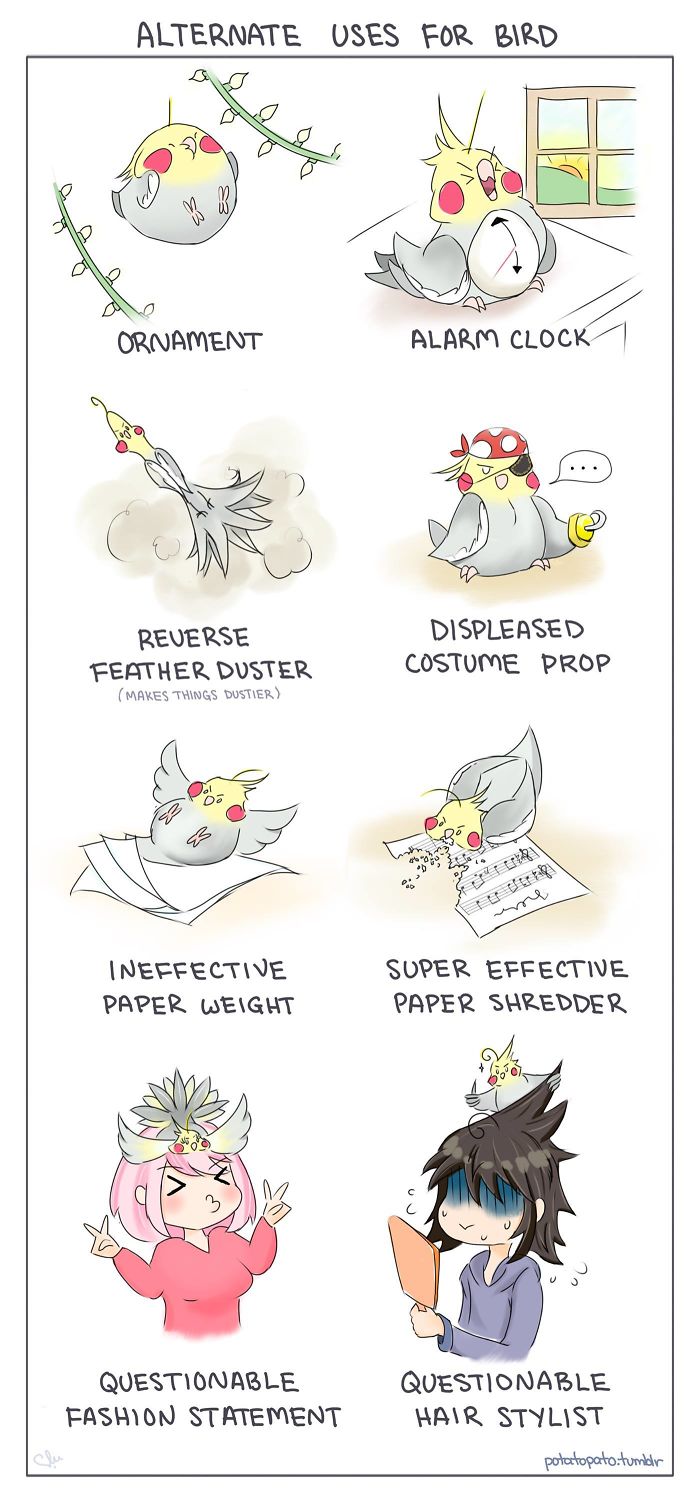 Comic illustrations showing various funny alternate uses for a pet bird by an artist drawing positive comics.