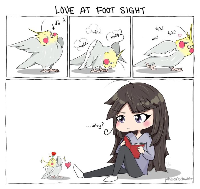 Comic shows artist’s pet bird acting cute and positive while the artist watches with curiosity and affection.