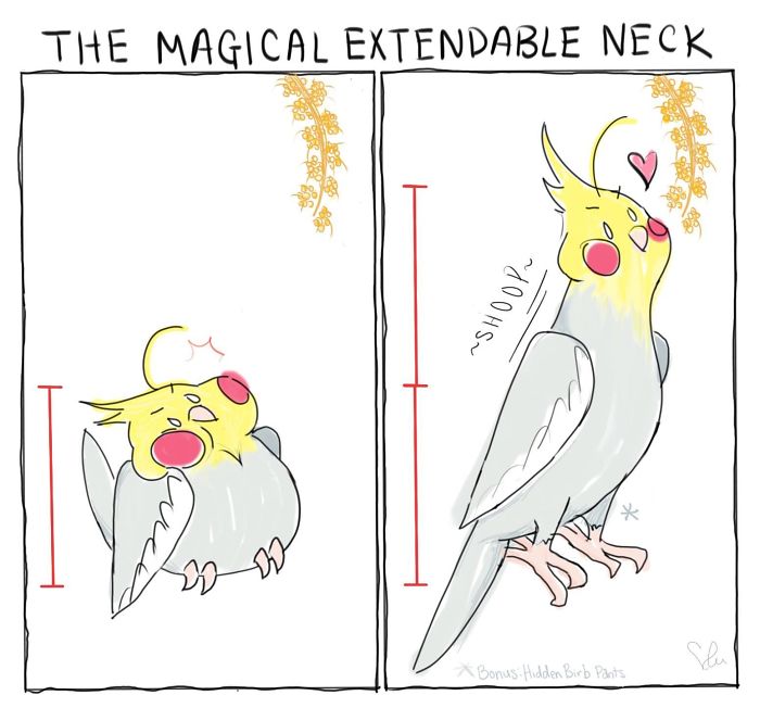 Comic of a pet bird with an extendable neck, drawn in a positive and lighthearted style by the artist.