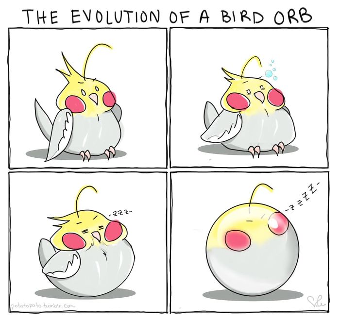 Comic illustration showing the evolution of a pet bird orb in a positive and playful comic style.