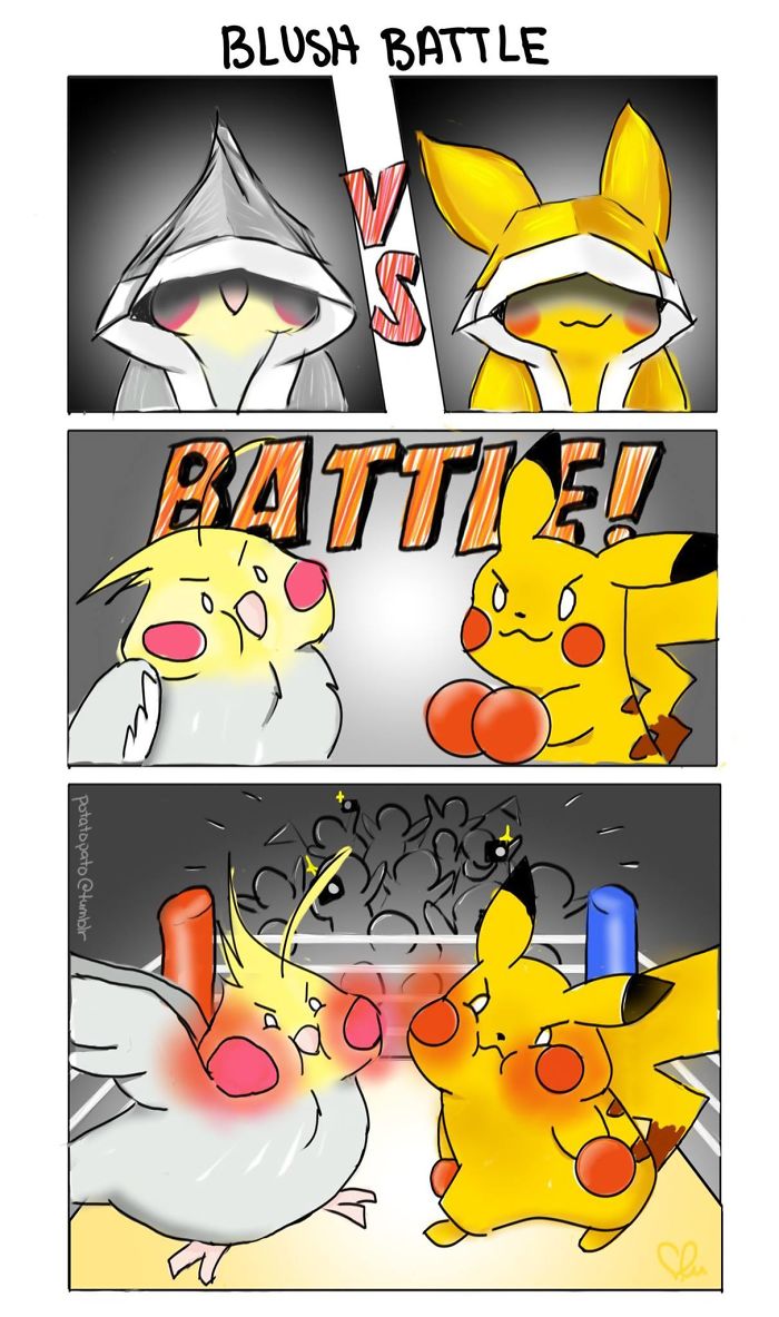 Comic panels showing a pet bird and Pikachu blushing and facing off in a cute, positive battle drawing.