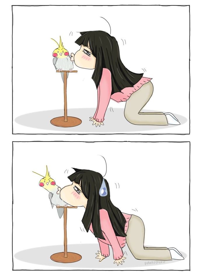 Comic artist drawing cute, positive moments with her pet bird, showing affection and playful interaction on stand.