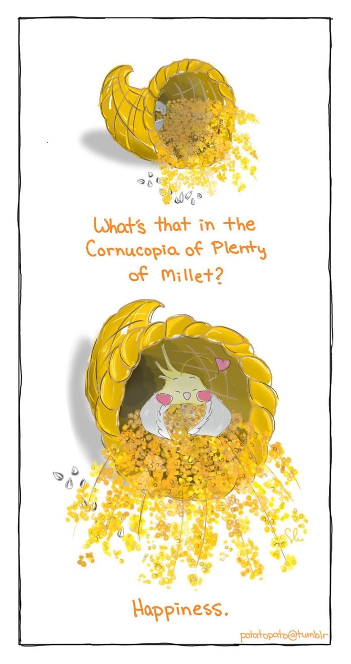 Illustration of a pet bird inside a cornucopia of millet seeds, depicting positive and joyful comic art about the bird.