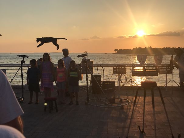 Not Your Ordinary Sunset Pic. I Timed This Picture Perfectly During A Sunset Cat-Trick Show