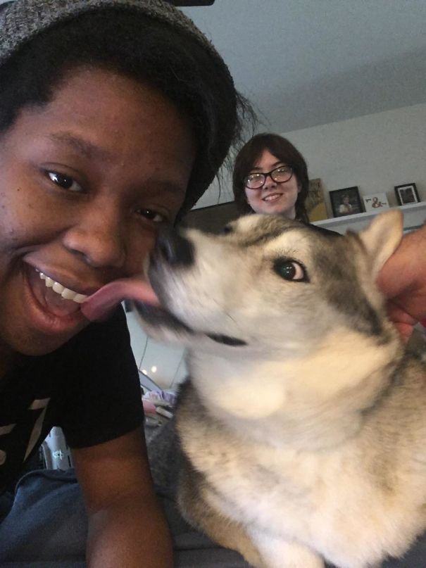 Let Me Brush Your Teeth!