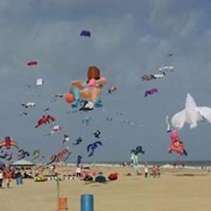 sheriwehner207 avatar