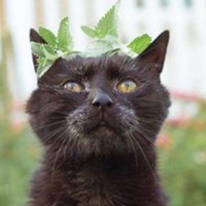 tania_calverley avatar