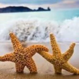 islandliphe4me avatar