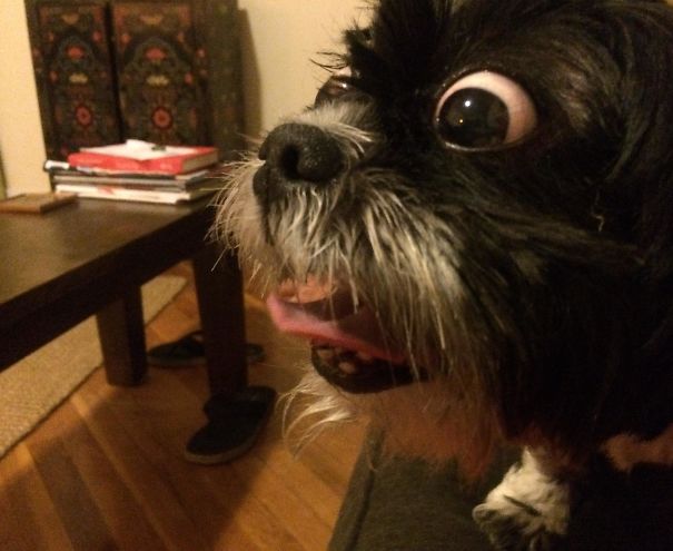 Girlfriend Caught Roger Just As I Opened The Bag Of Cheese Balls