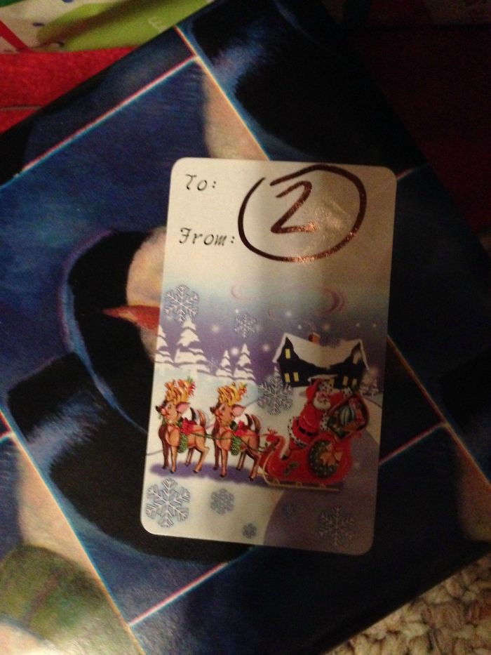 So Apparently Mom's Given Up On Names This Year. I'm Child 2 Of 3