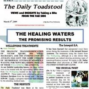 stewartayukawa avatar