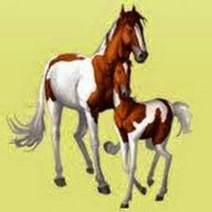 miroslavakolnkov avatar