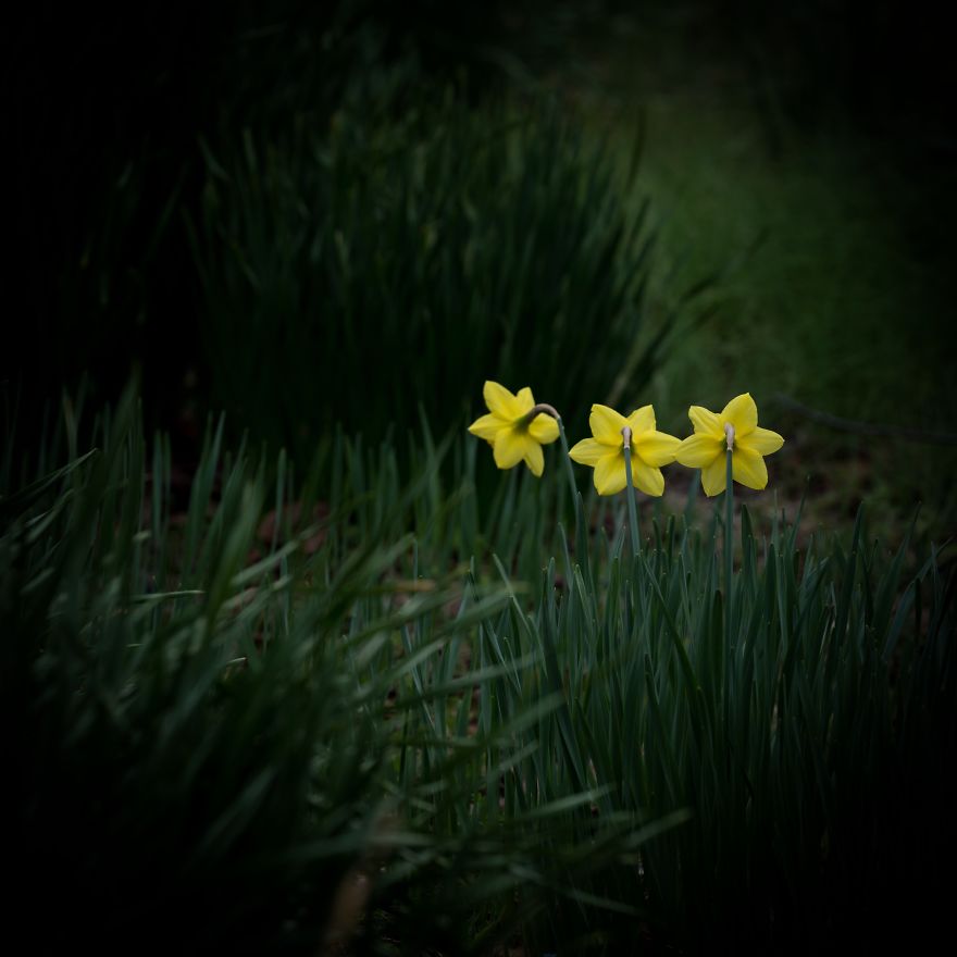 I Capture Seasonal Changes In Japanese Nature