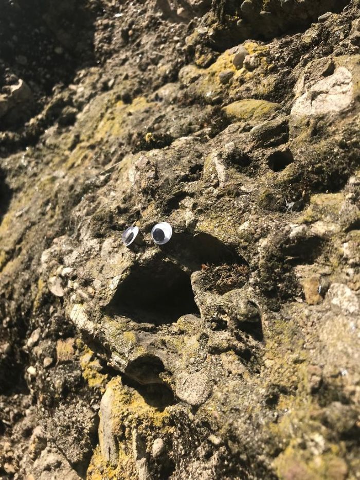 We Googly-Eyed Milan