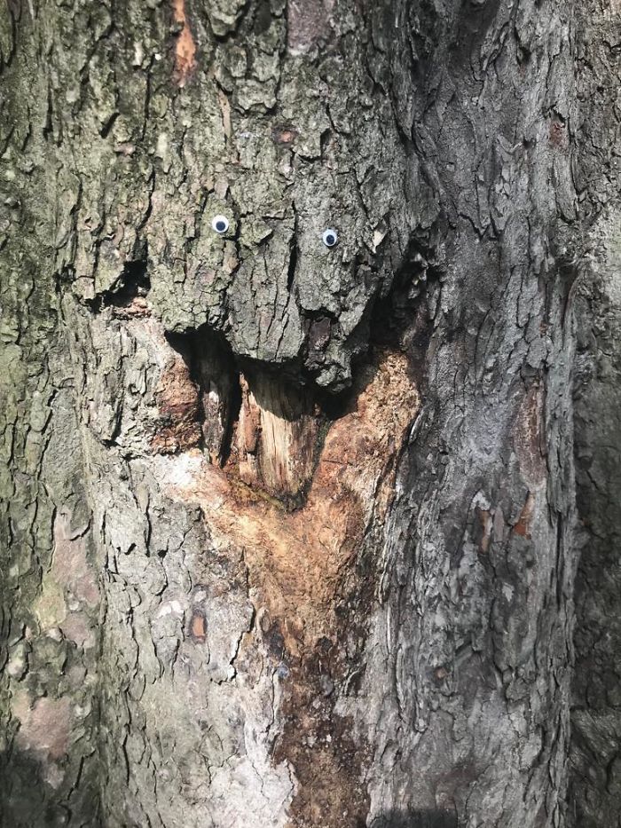 We Googly-Eyed Milan