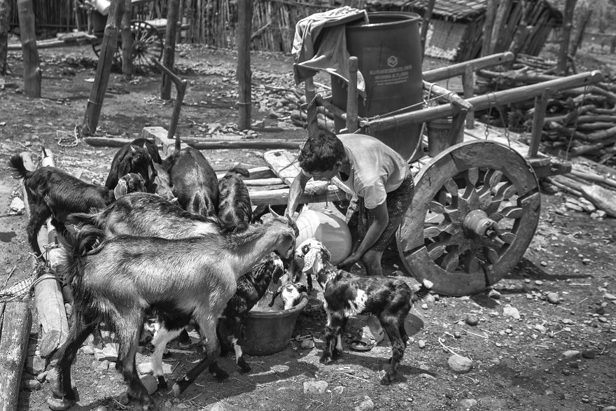 I Documented The Life In Bazarhathnoor I Documented The Life In Bazarhathnoor